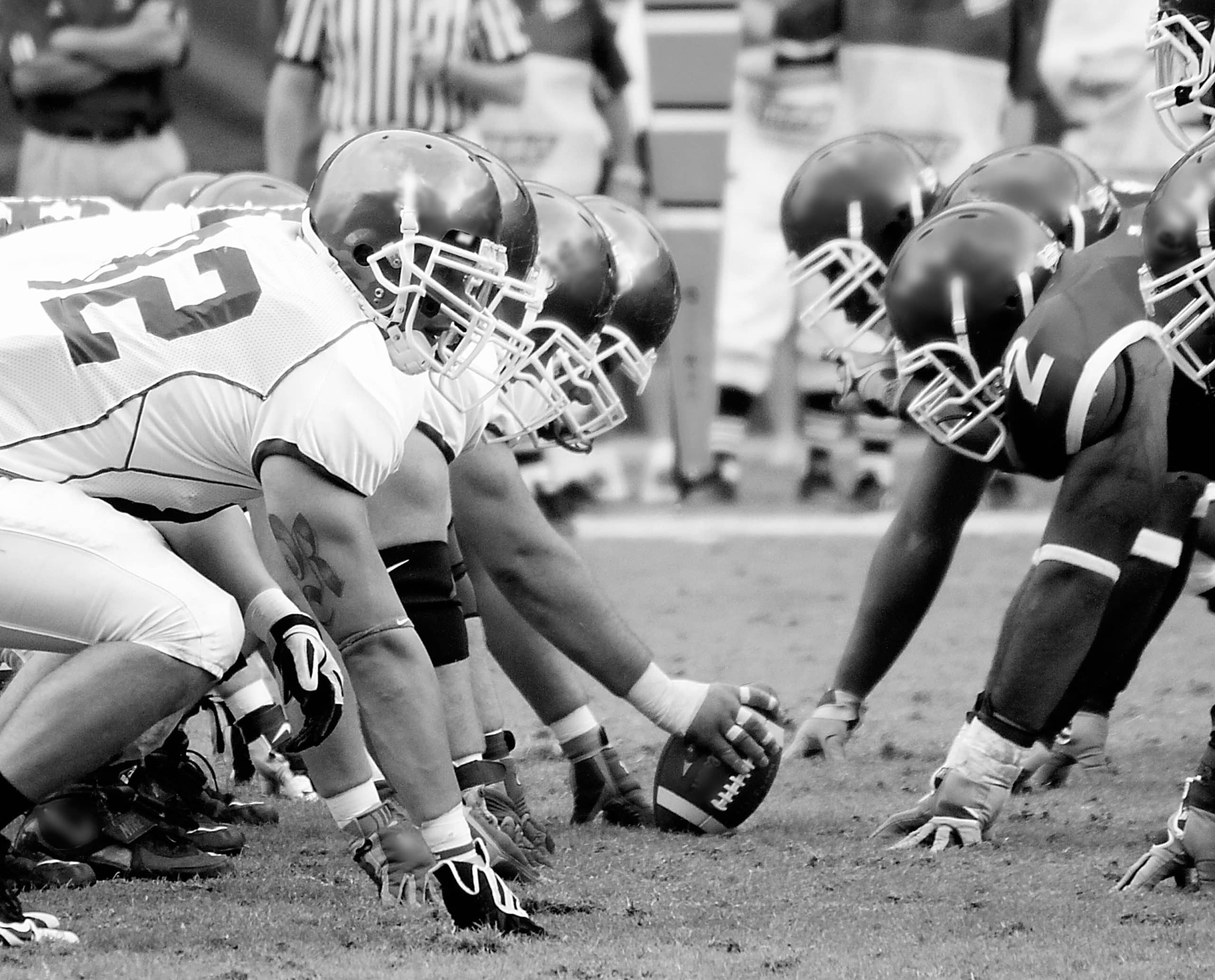 © Can Stock Photo / findog822