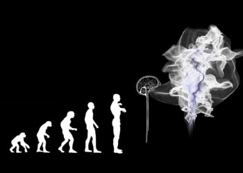 Evolution