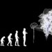 Evolution