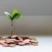 Image: Micheile Henderson/Unsplash