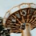 Image: Jonas Jacobsson/Unsplash