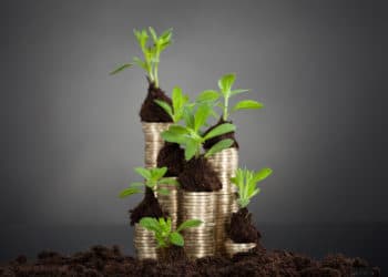 Emerging fintechs: Pocketnest digitizes financial wellness