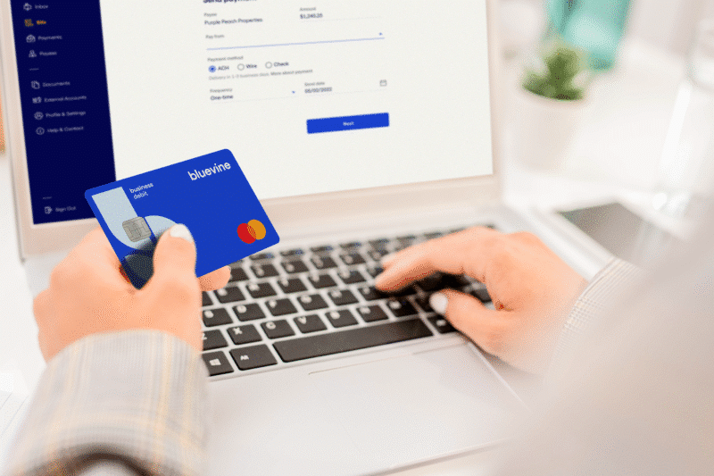 Bluevine to launch AI-driven cash flow tool by end of year
