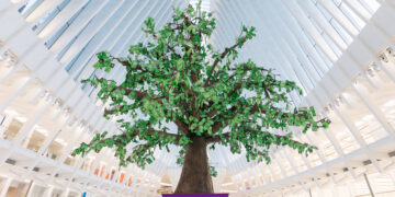 To celebrate the launch of its free financial wellness program Money Roots™, Ally planted a literal money tree in New York City to give away $100,000 – both in person and online – to those who share their money story, ultimately easing financial stress nationwide. Courtesy/Ally