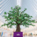 To celebrate the launch of its free financial wellness program Money Roots™, Ally planted a literal money tree in New York City to give away $100,000 – both in person and online – to those who share their money story, ultimately easing financial stress nationwide. Courtesy/Ally